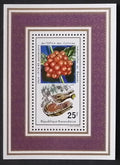 Rwanda 1975 Bl.58 Produkty země, káva, kávovník