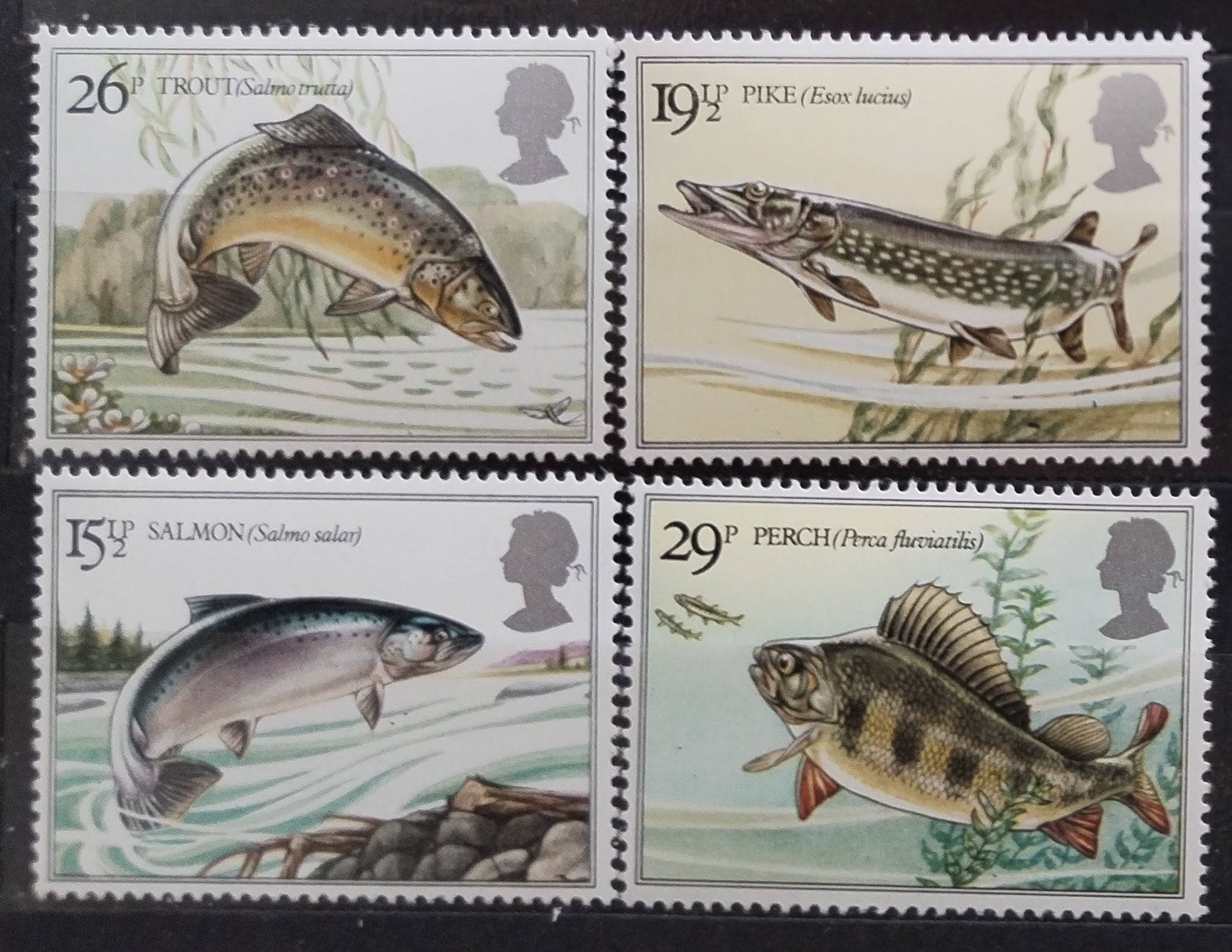 Velká Británie 1983  Ryby