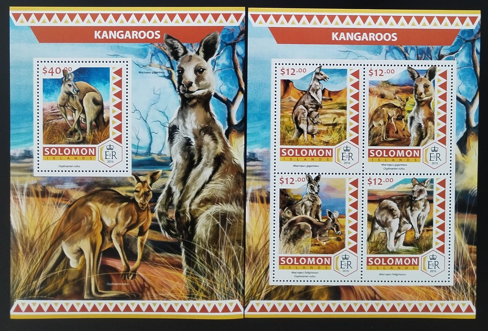 Šalamounovy ostrovy 2016 Klokani a australská fauna