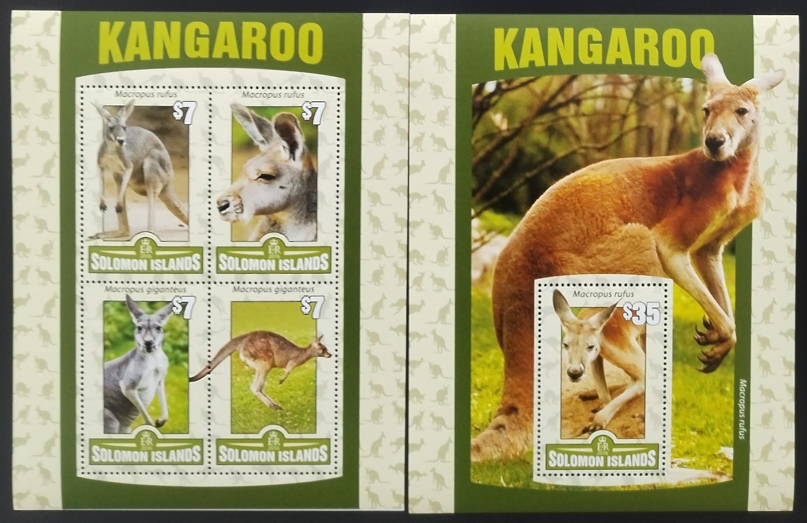 Šalamounovy ostrovy 2016 Klokani a fauna Austrálie