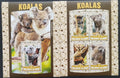 Šalamounovy ostrovy 2016 Koaly a fauna Austrálie, Medvídek koala