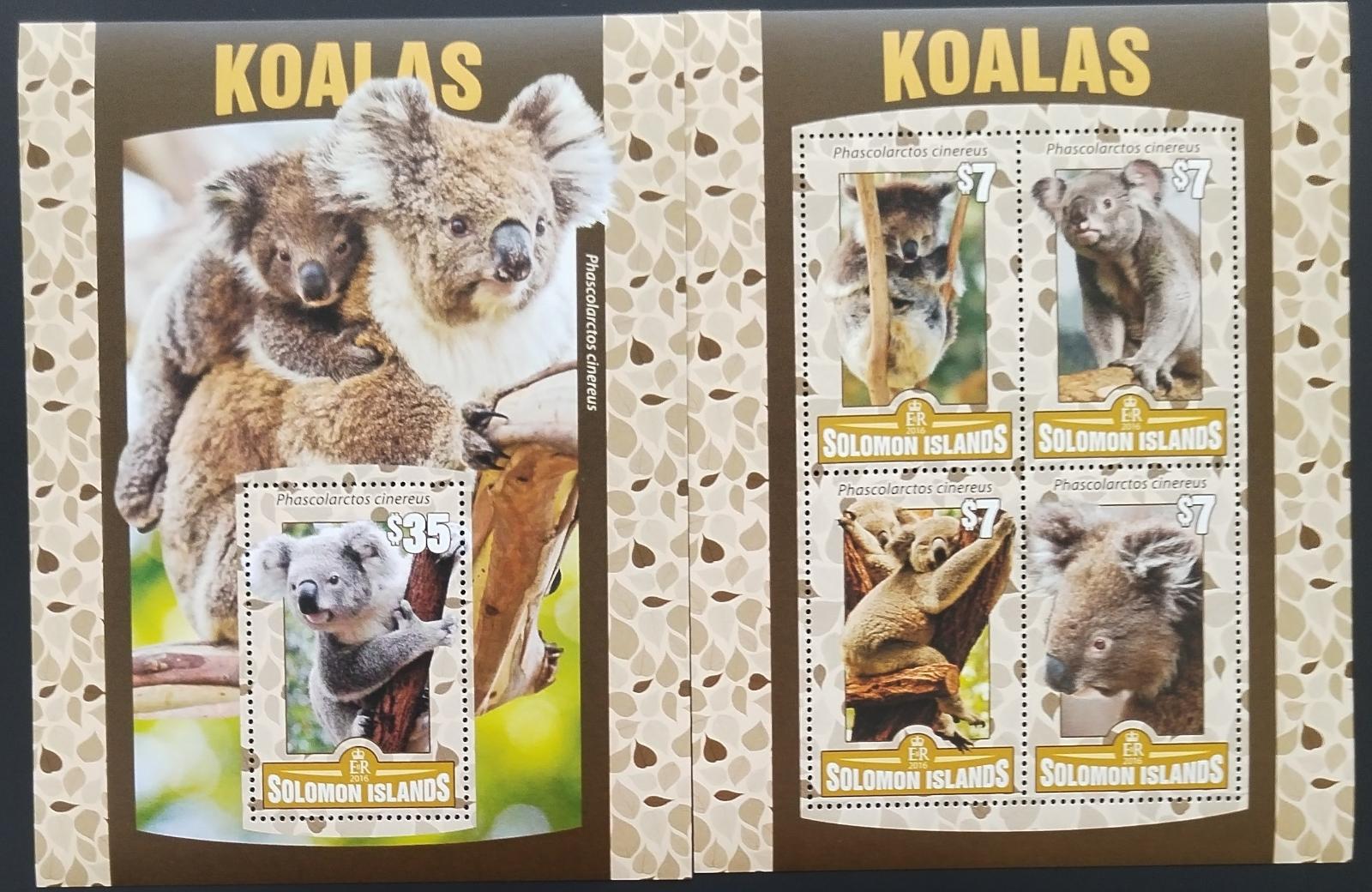 Šalamounovy ostrovy 2016 Koaly a fauna Austrálie, Medvídek koala
