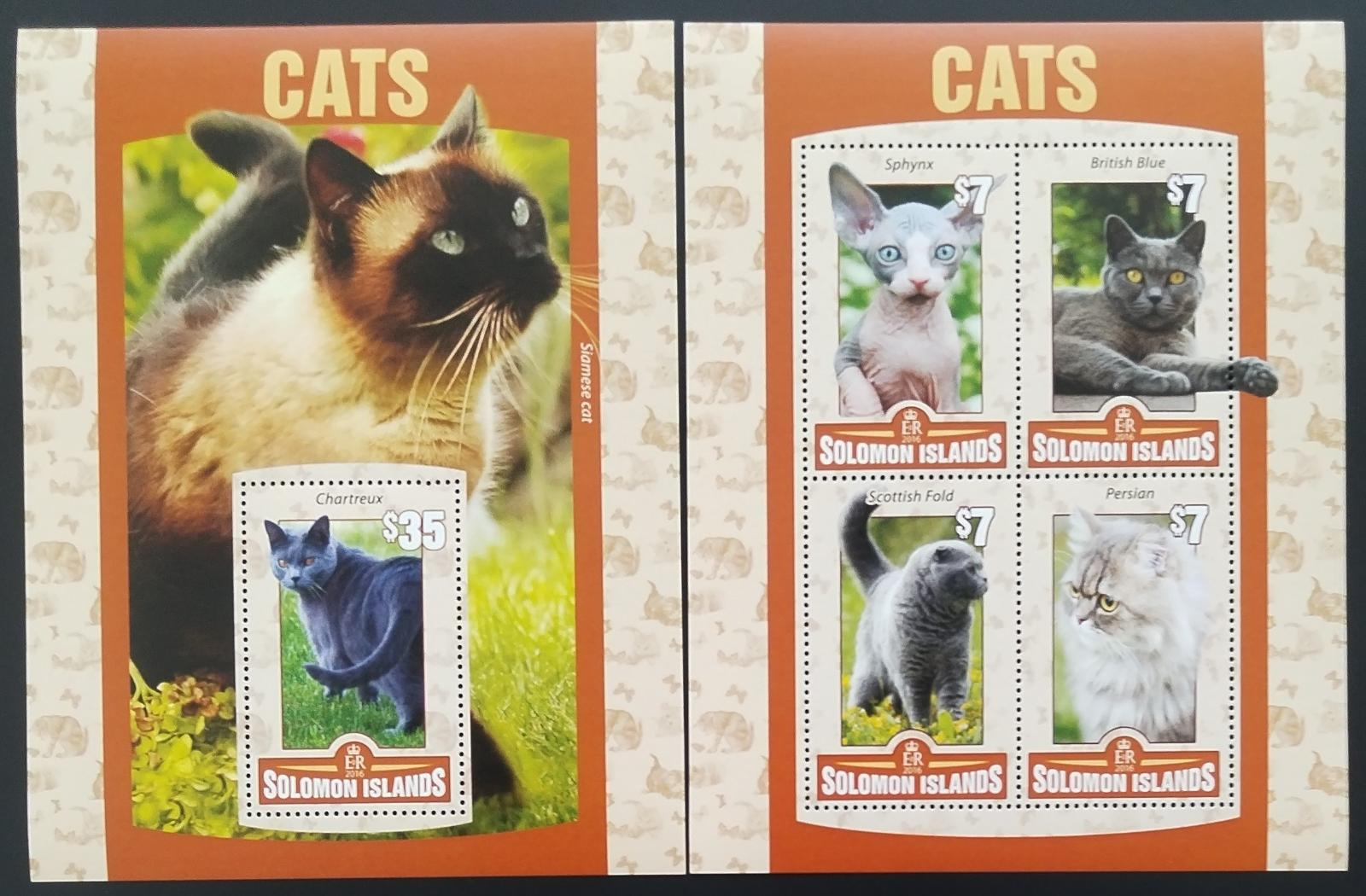 Šalamounovy ostrovy 2016 Kočky domácí a jejich druhy