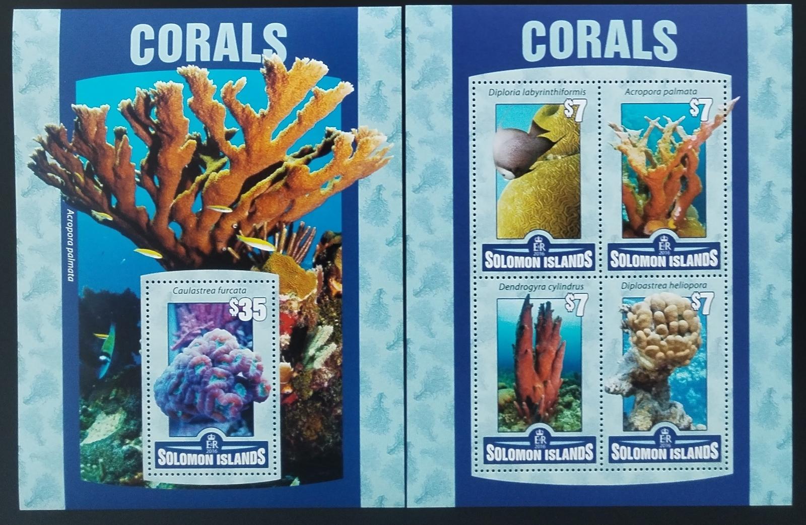 Šalamounovy ostrovy 2016 Korály Oceánie