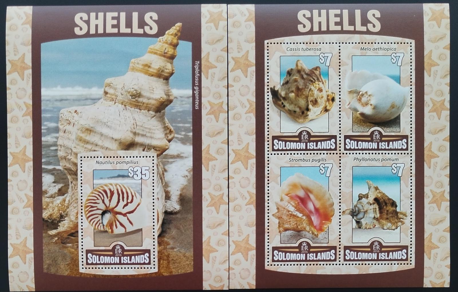 Šalamounovy ostrovy 2016 Mušle a škeble Oceánie