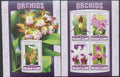 Šalamounovy ostrovy 2016 Orchideje a květiny