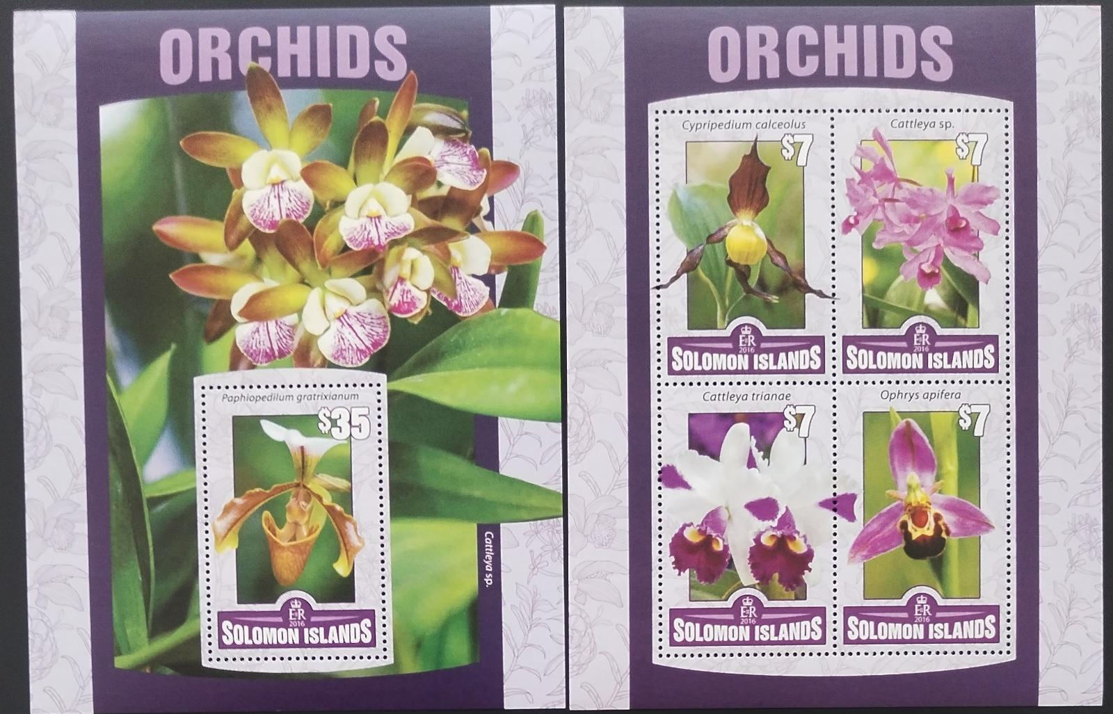 Šalamounovy ostrovy 2016 Orchideje a květiny