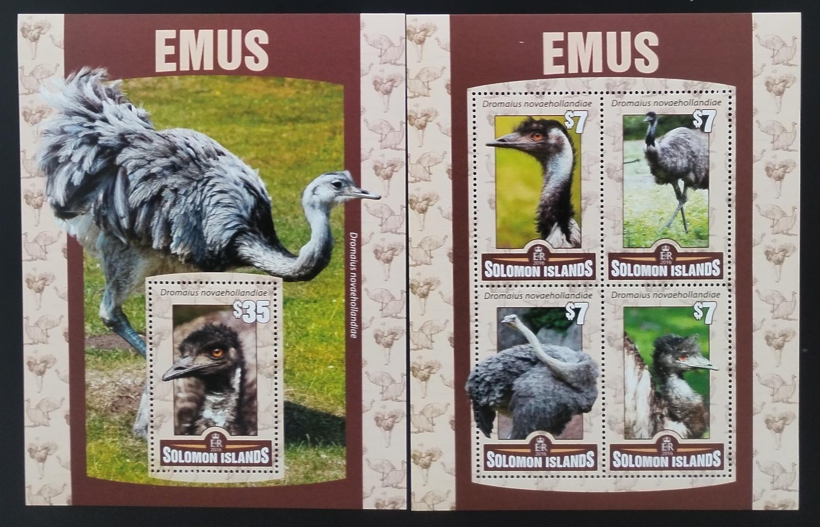 Šalamounovy ostrovy 2016 Pštros emu, Ptáci Oceánie