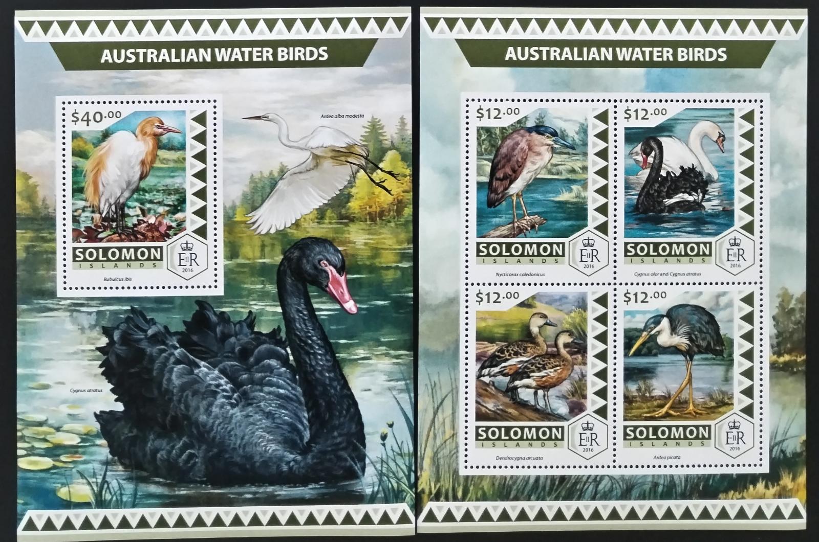 Šalamounovy ostrovy 2016 Vodní ptáci a černá labuť