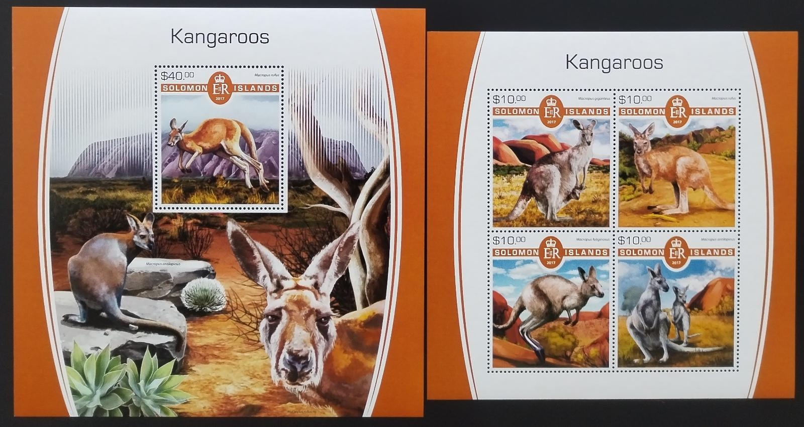 Šalamounovy ostrovy 2017 Klokani a australská fauna