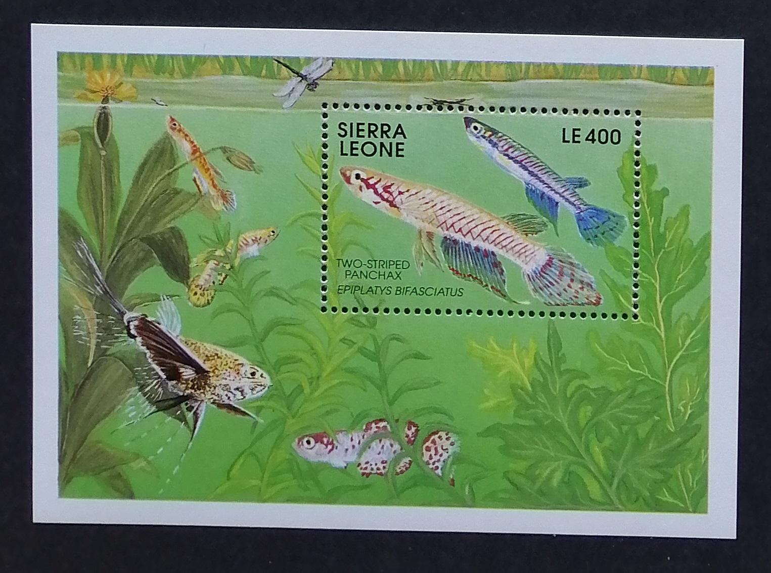 Sierra Leone 1991 Bl.165 8€ Ryby afrických oceánů, fauna moří