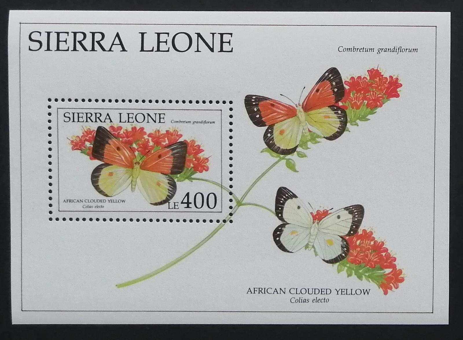 Sierra Leone 1991 Bl.170 6,5€ Motýli Západní Afriky, hmyz, květiny