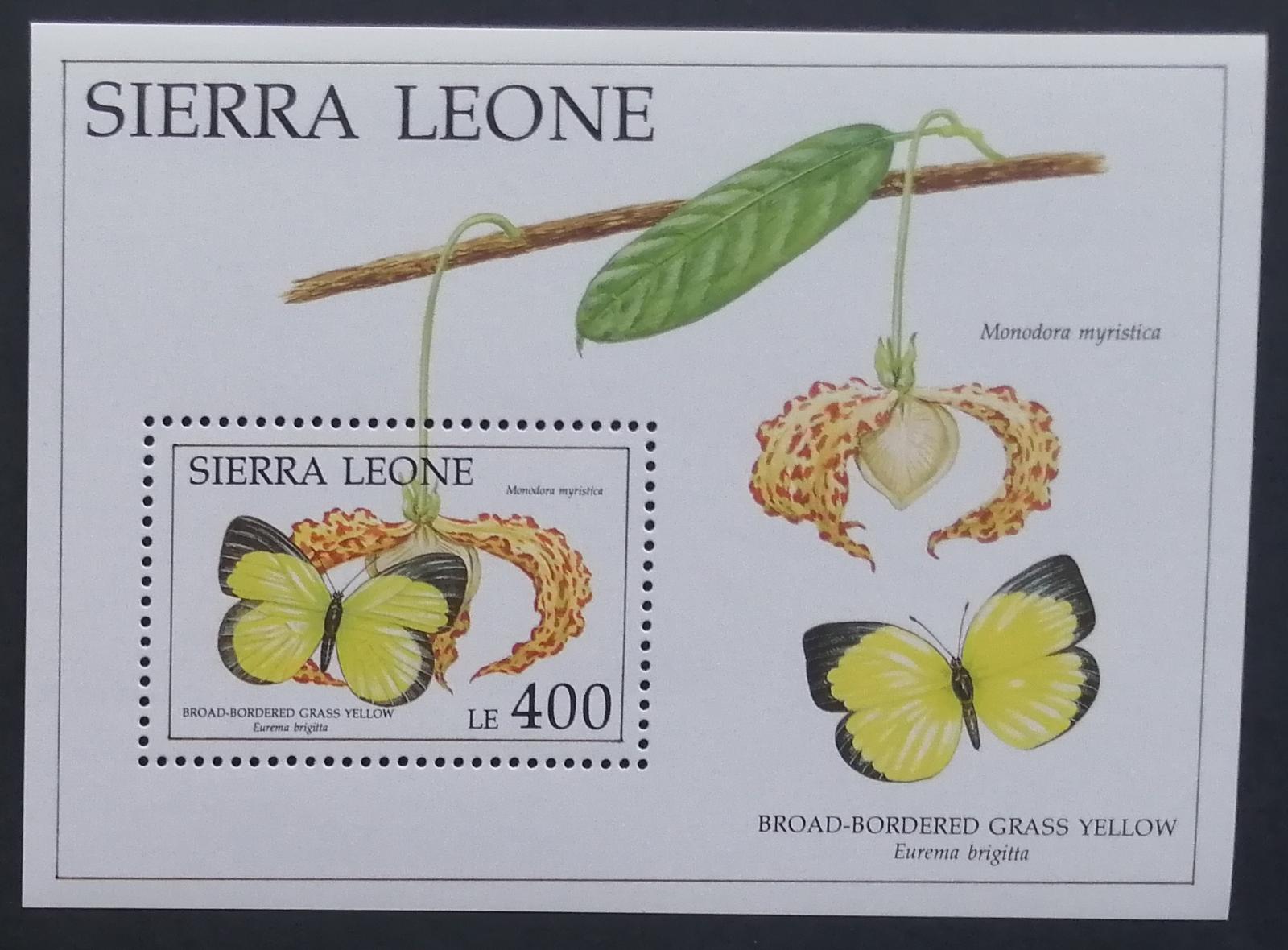 Sierra Leone 1991 Bl.171 6,5€ Motýli Západní Afriky, hmyz, květiny