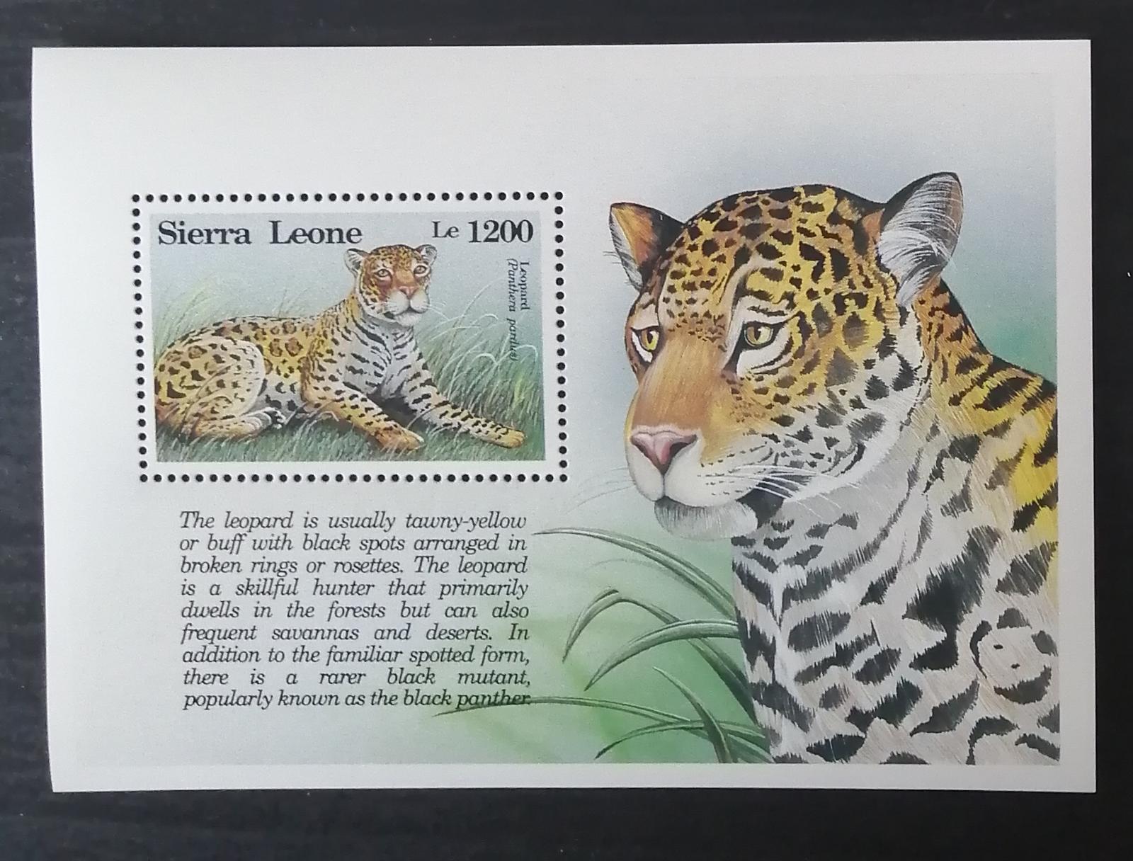Sierra Leone 1993 Bl.227 8,5€ Leopard, africké kočky, panthera pardus