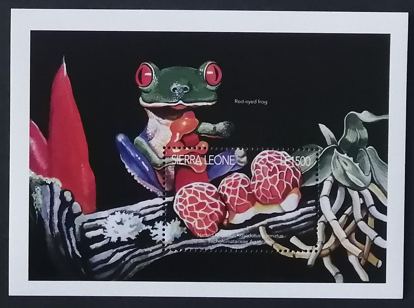 Sierra Leone 1996 Bl.298 8€ Houby světa a žáby, Rhodotus parmatus