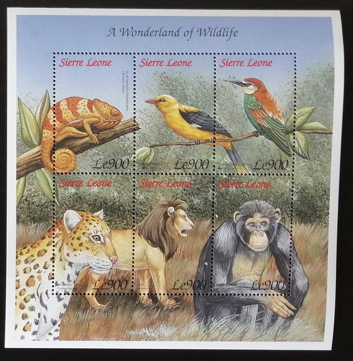 Sierra Leone 1999 Mi.3235-0 9€ Lvi a kočky, Chameleoni, Ptáci, Opice