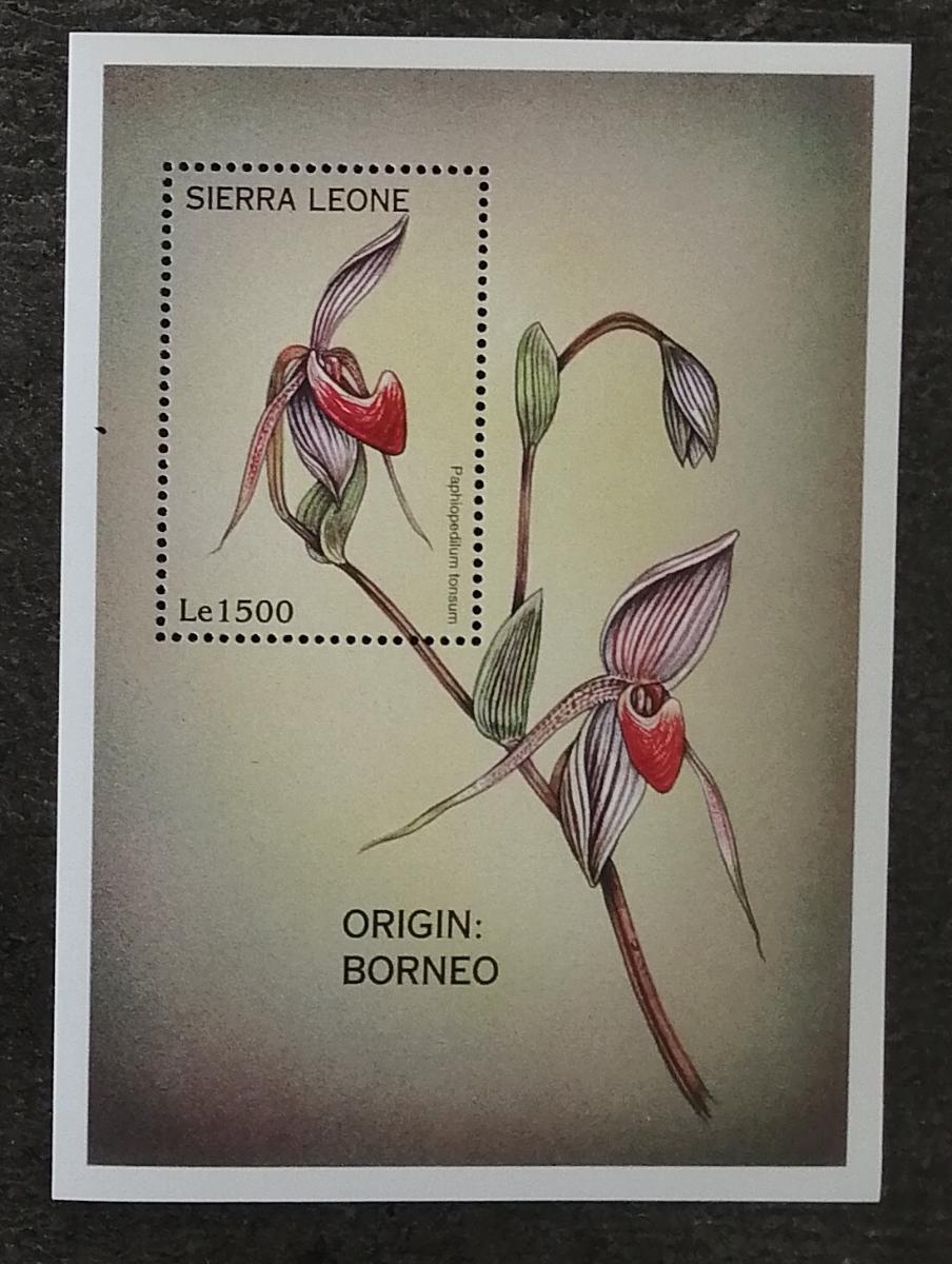 Sierra Leone 2003 Bl.372 5€ Africké orchideje, Paphiopedilum