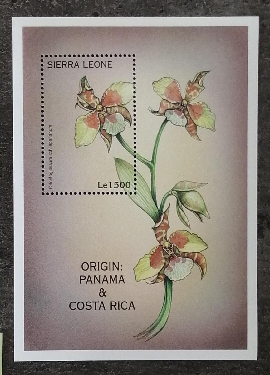 Sierra Leone 2003 Bl.373 5€ Africké orchideje, Odontoglossum