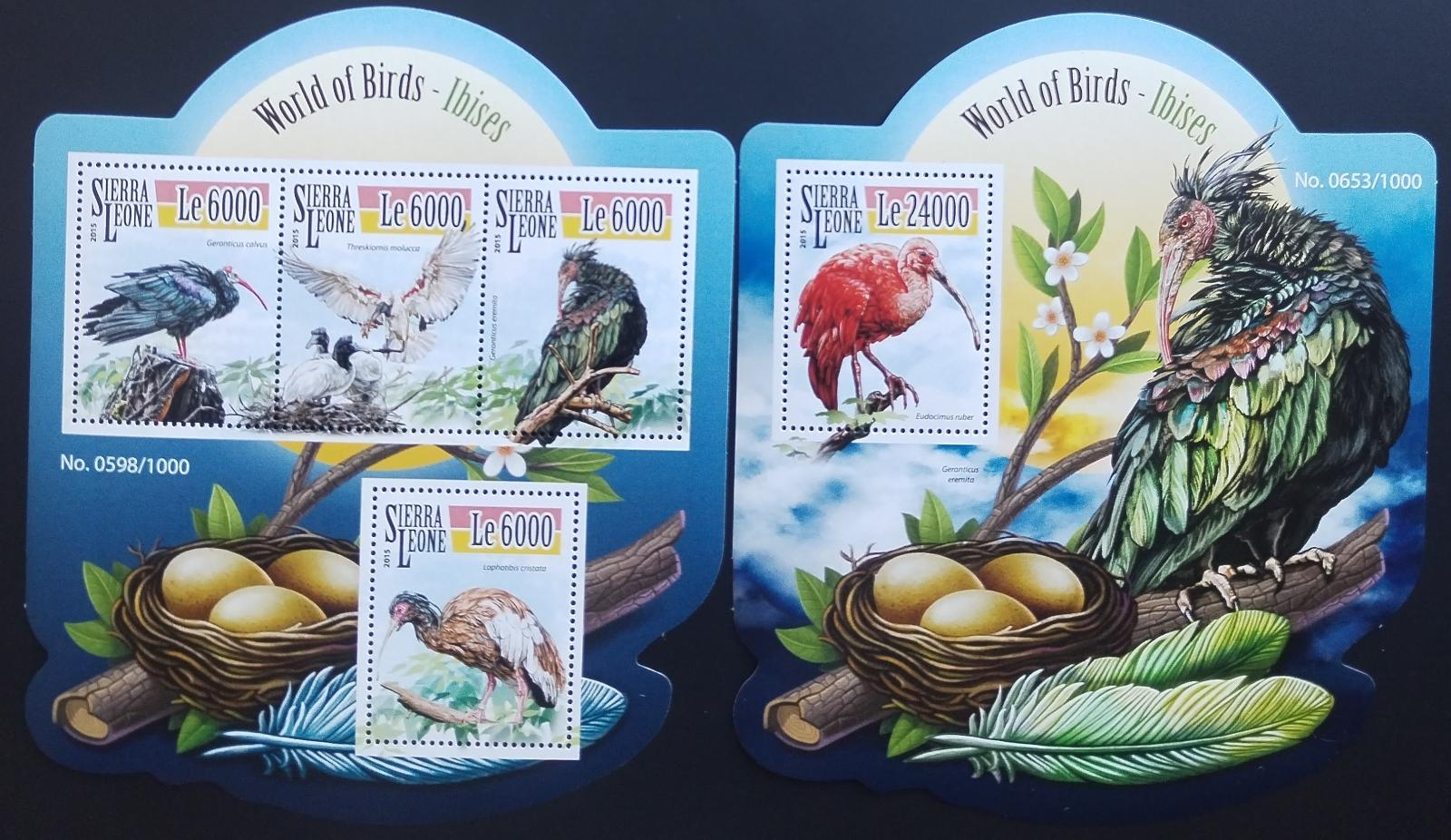 Sierra Leone 2015 Ptáci a fauna země - Ibisové