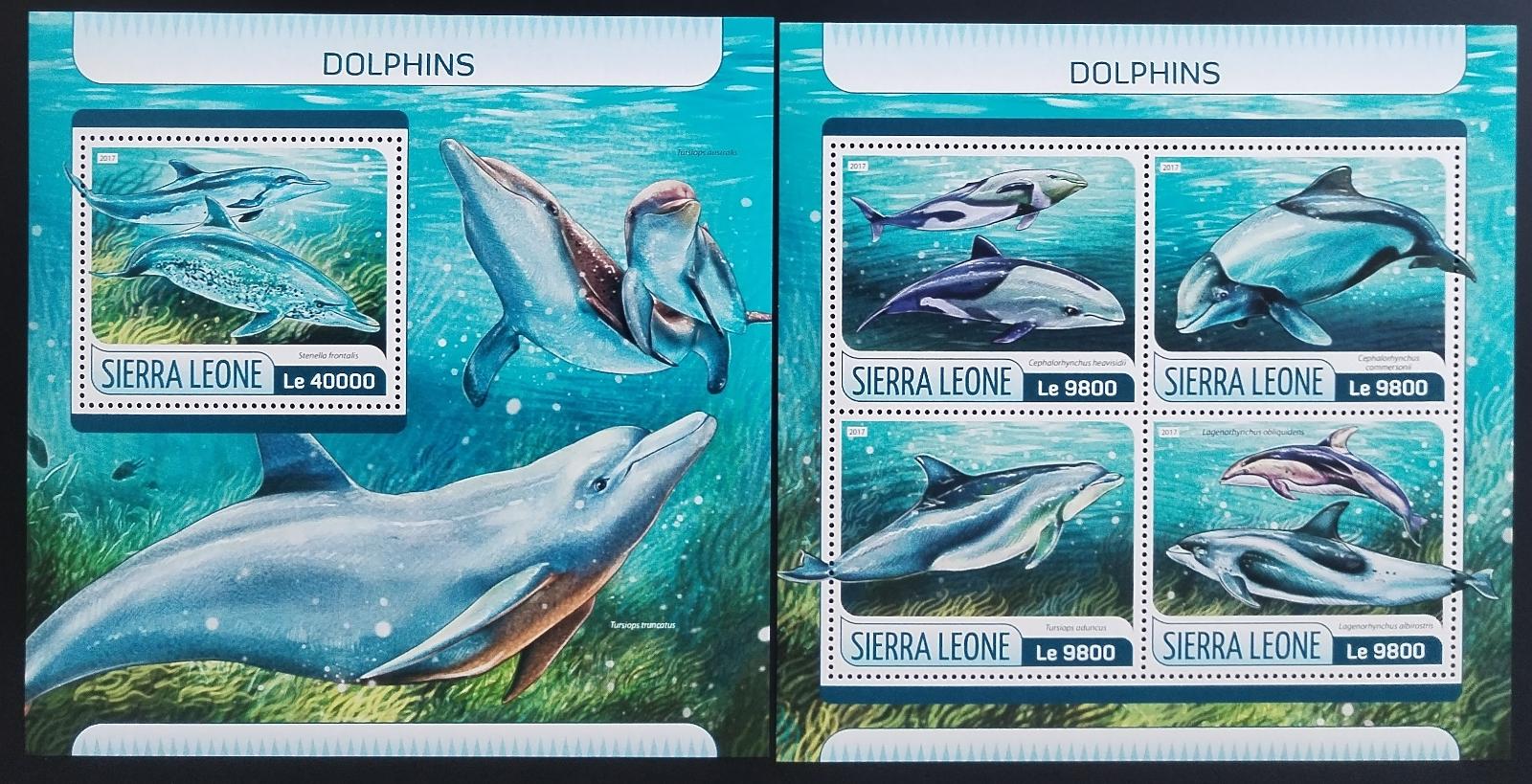Sierra Leone 2017 Delfíni a ryby