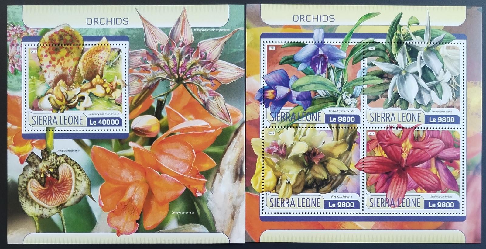 Sierra Leone 2017 Orchideje a květiny Afriky