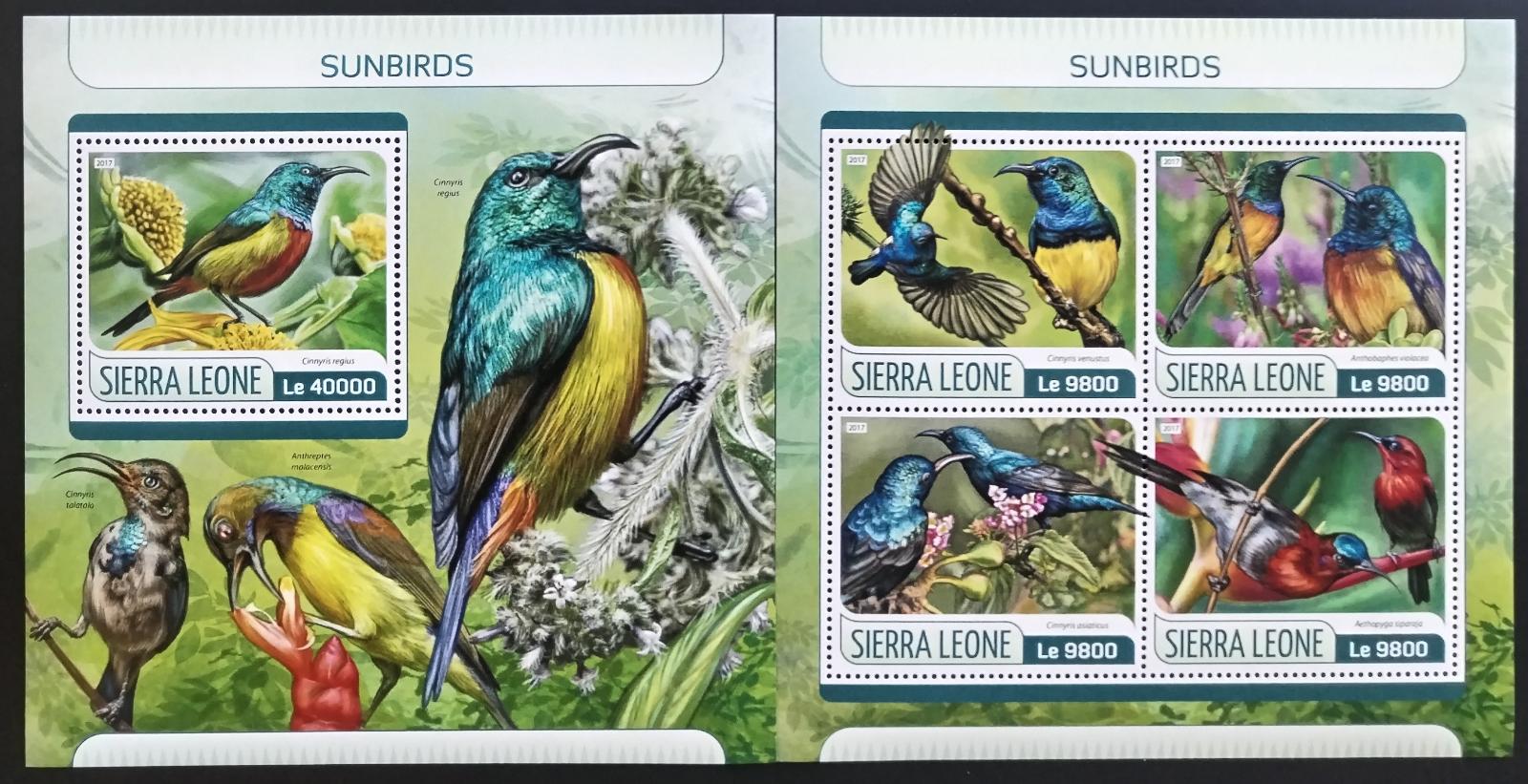 Sierra Leone 2017 Strdimilové a ptáci Afriky