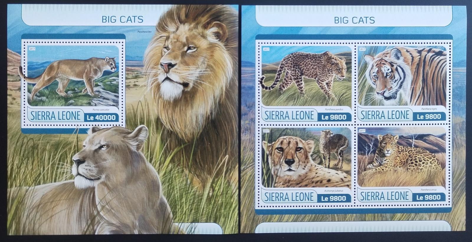 Sierra Leone 2017 Velké kočky Afriky, Lvi a tygři