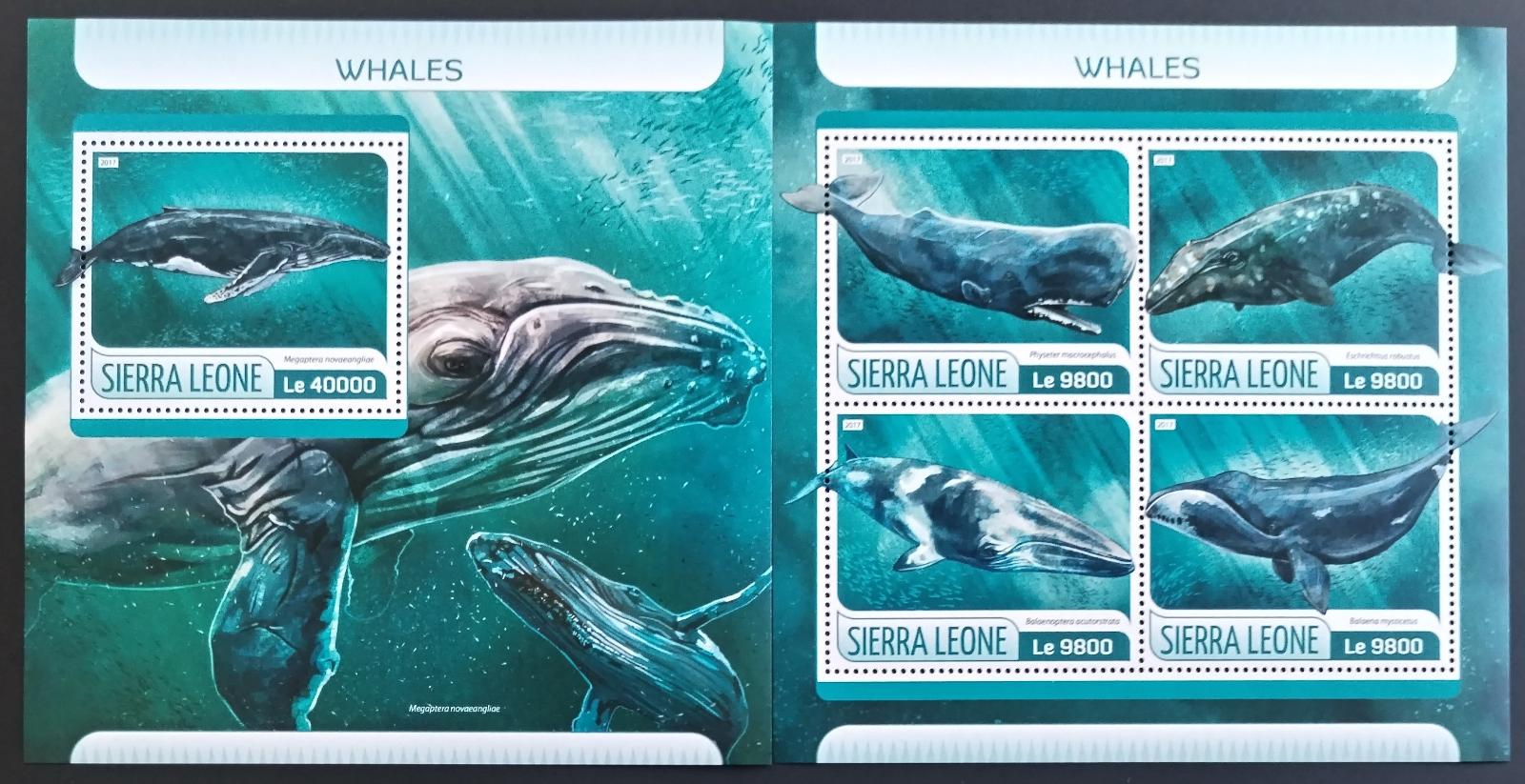 Sierra Leone 2017 Velryby a kýtovci, Ryby afriky