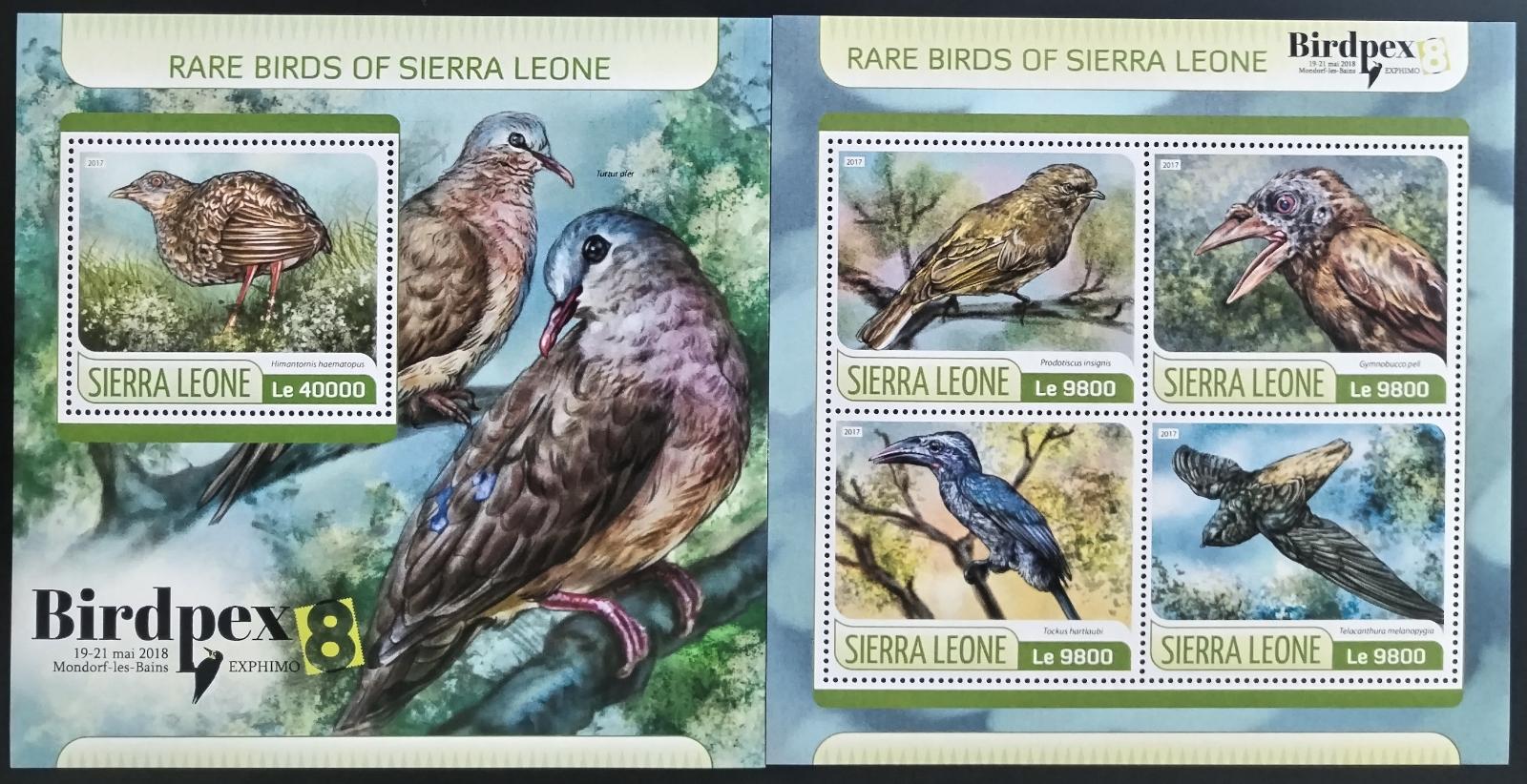 Sierra Leone 2017 Vzácní ptáci Afriky