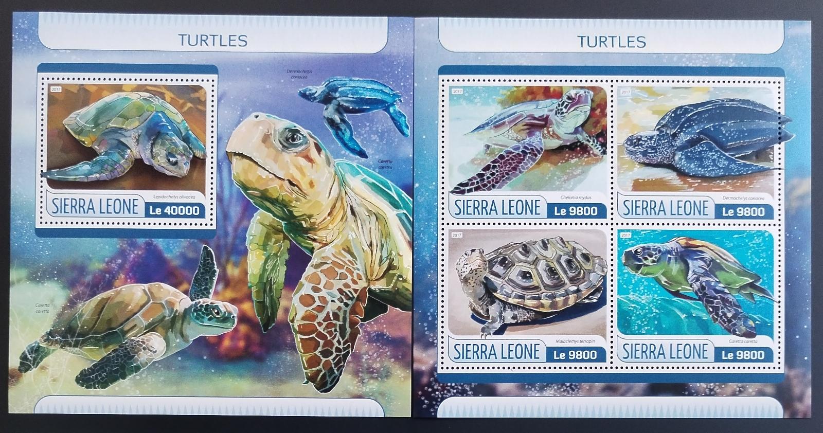 Sierra Leone 2017 Želvy a plazi Afriky