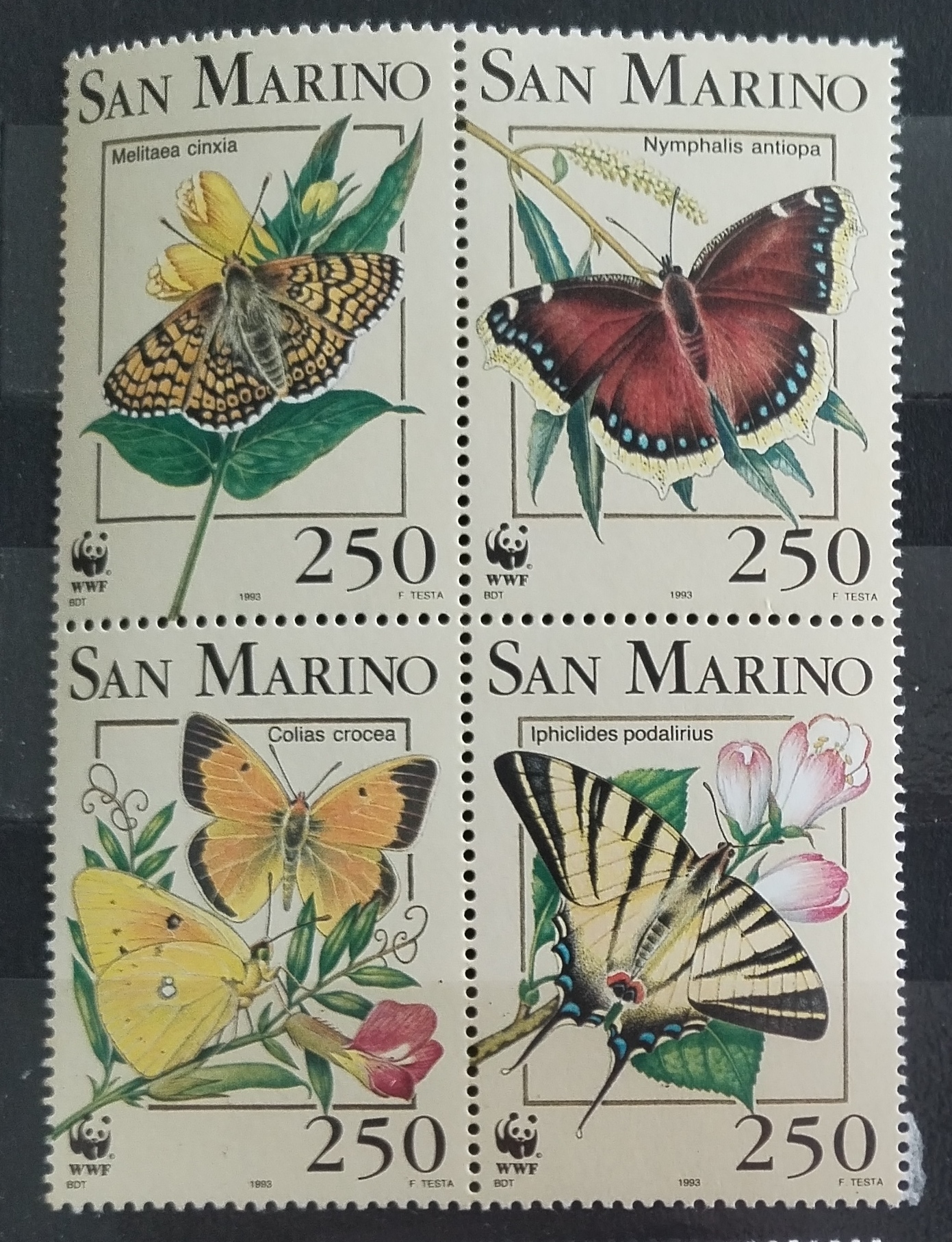 San Marino 1993 Motýli a WWF