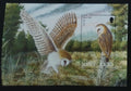 Jersey 2001 Owls and Birds