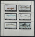 Staffa 1982 Ryby a fauna Skotska