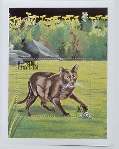 Středoafrická republika 1999 Bl.629 8,5€ Kočky a jejich druhy