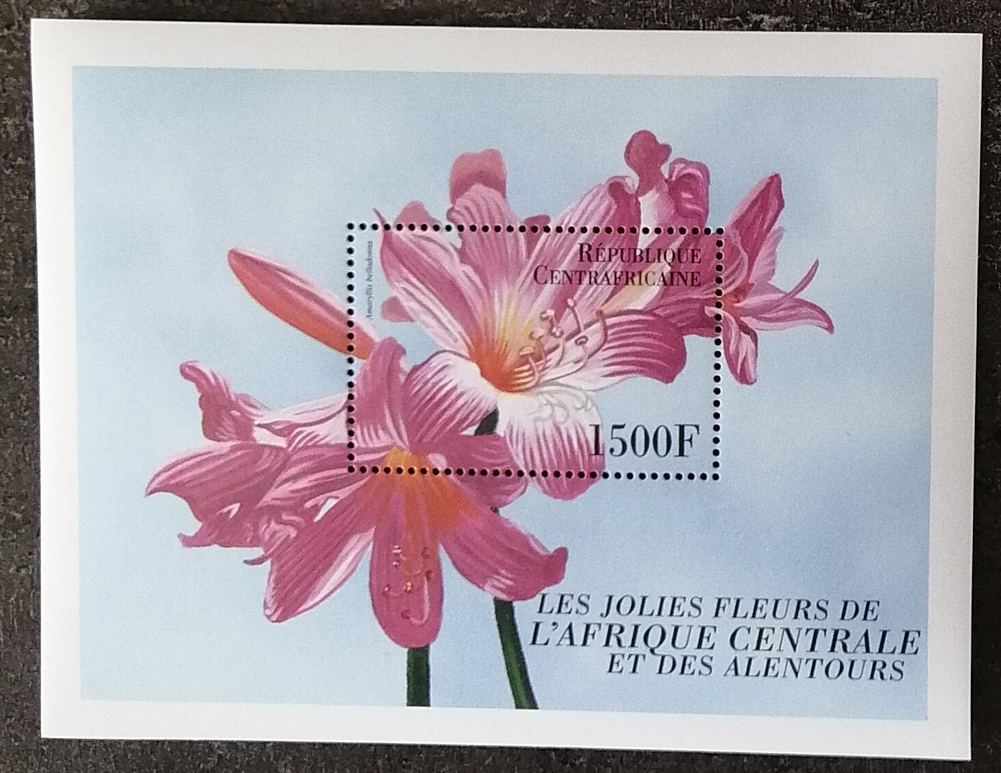 Středoafrická republika 2000 Bl.637 7,5€ Africké květiny, Amaryllis