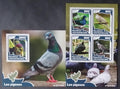 Středoafrická republika 2016 30€ Holubi a jejich druhy, Ptáci