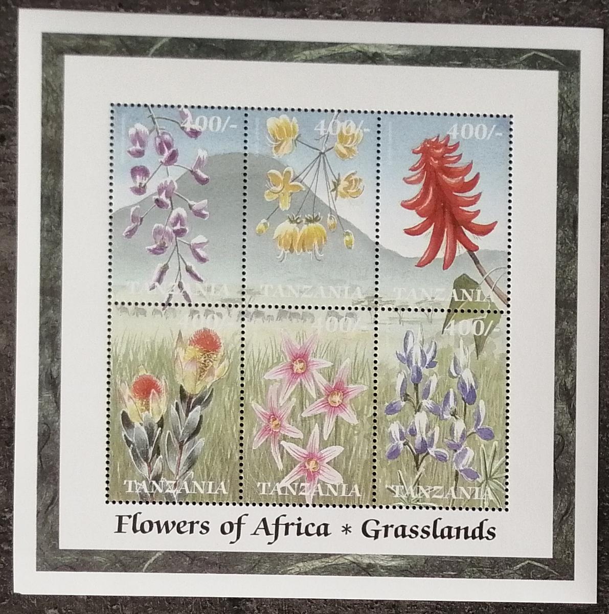Tanzánie 1999 10€ Africké divoké rostliny a flora, Květiny