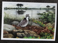 Tanzánie 1999 Bl.446 6€ Ptáci Afriky a vod, Charadrius pecuarius