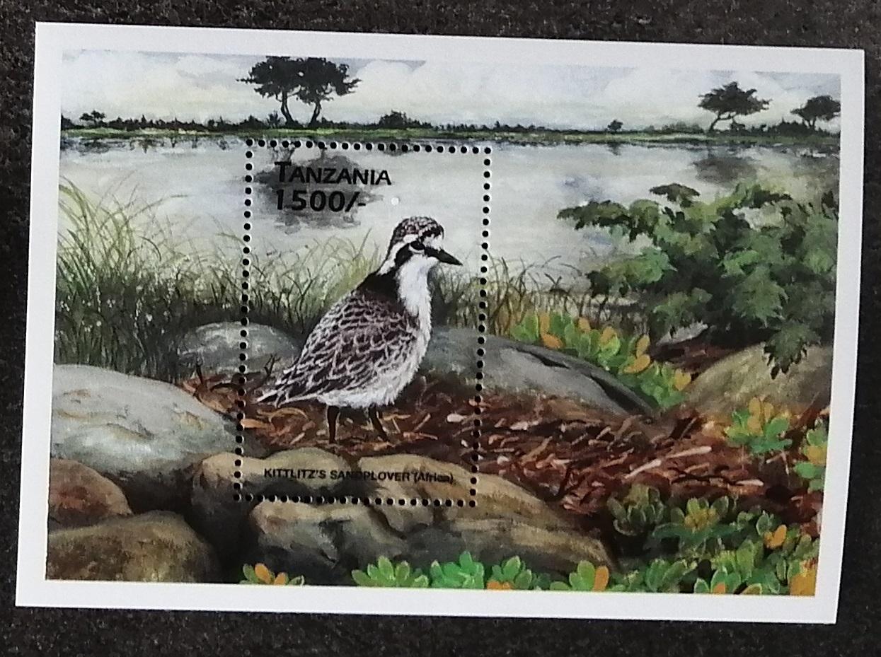 Tanzánie 1999 Bl.446 6€ Ptáci Afriky a vod, Charadrius pecuarius