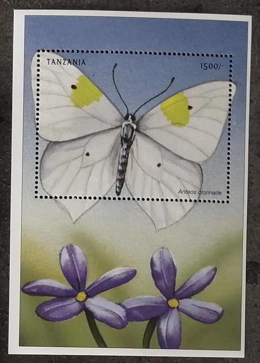 Tanzánie 1999 Bl.514 6€ Africké druhy hmyzu, Motýli, Anteos clorinade