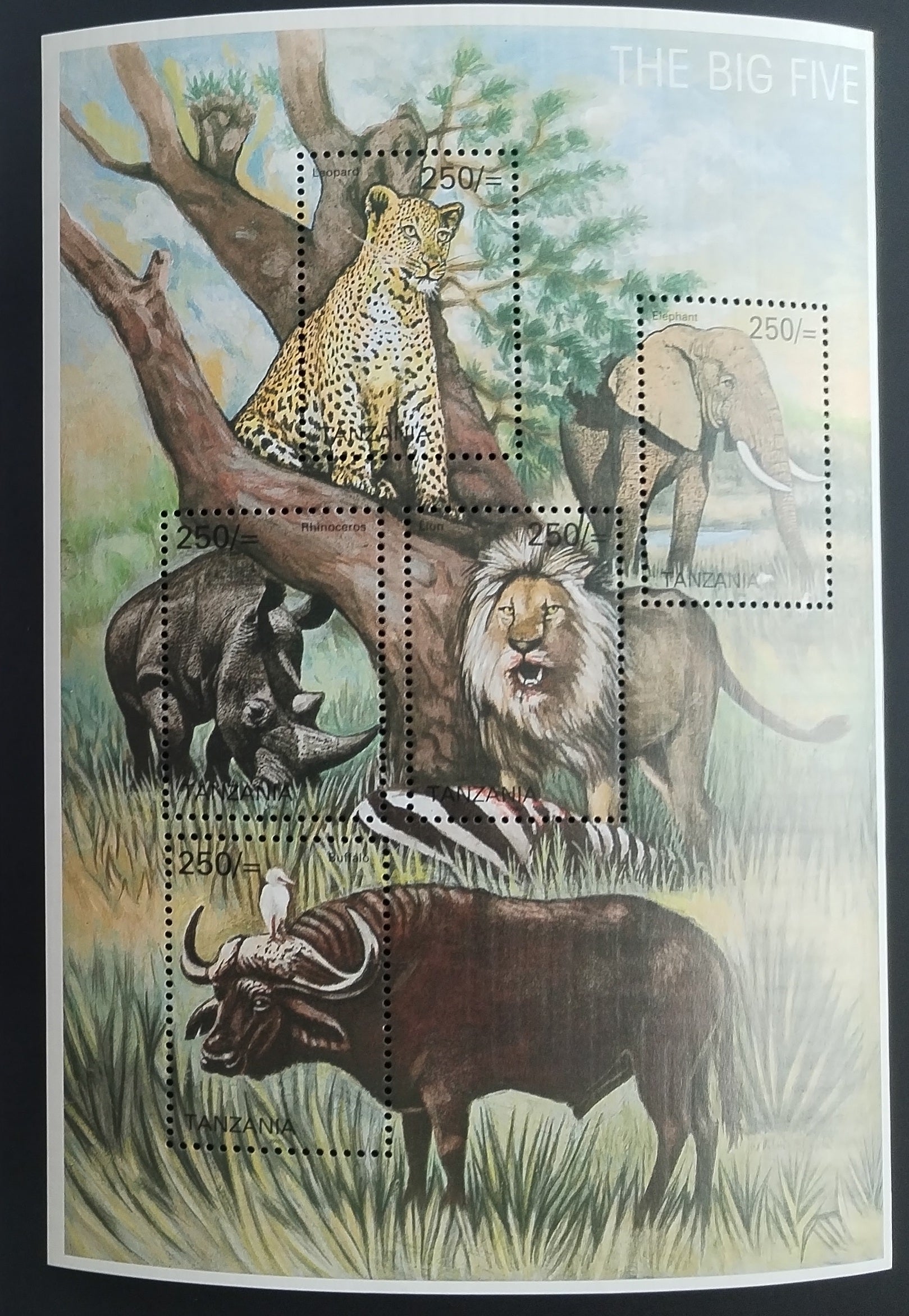 Tanzanie 2003 Velká pětka - Lvi, Sloni a kočky