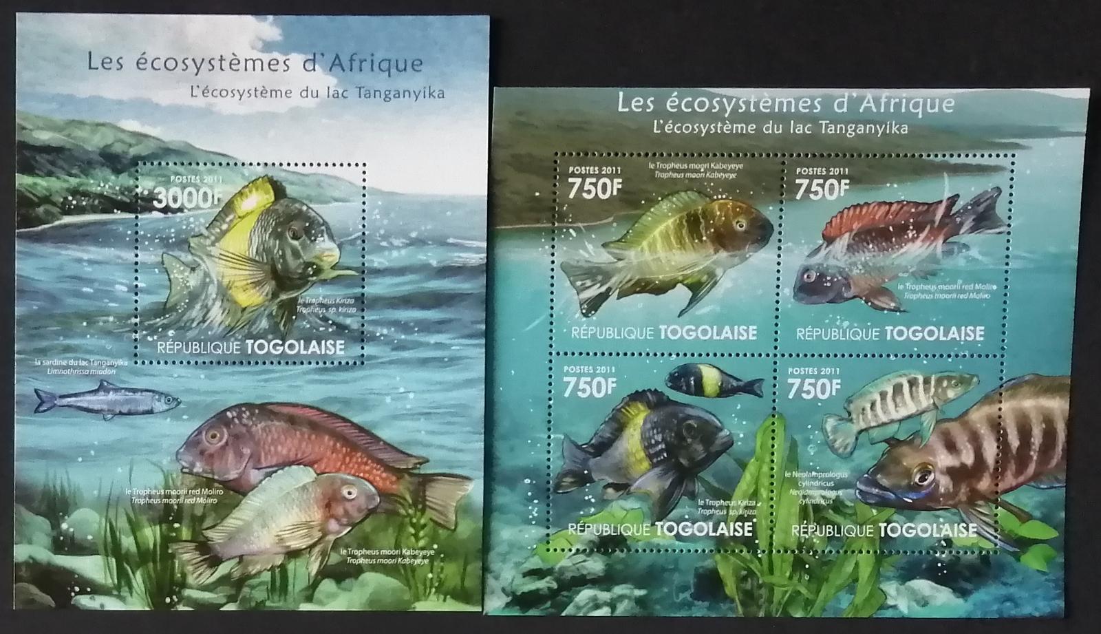 Togo 2011 24€ Africká fauna a flora jezera Tanganyika, Ryby