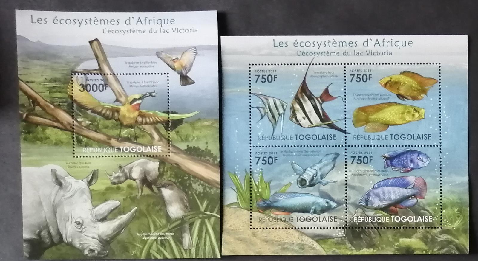 Togo 2011 24€ Africká fauna a flora jezera VIktoria, Ryby Nosorožec