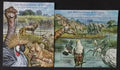 Togo 2011 24€ Africká fauna a flora mokřadů, Ptáci a žirafy