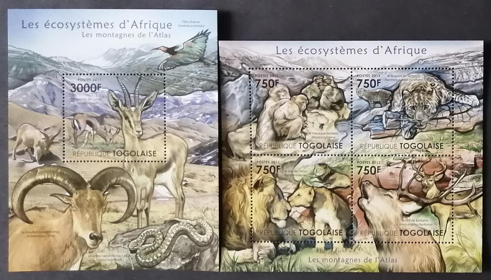 Togo 2011 24€ Africká fauna a flora pohoří Atlas, Kozy a divoké kočky