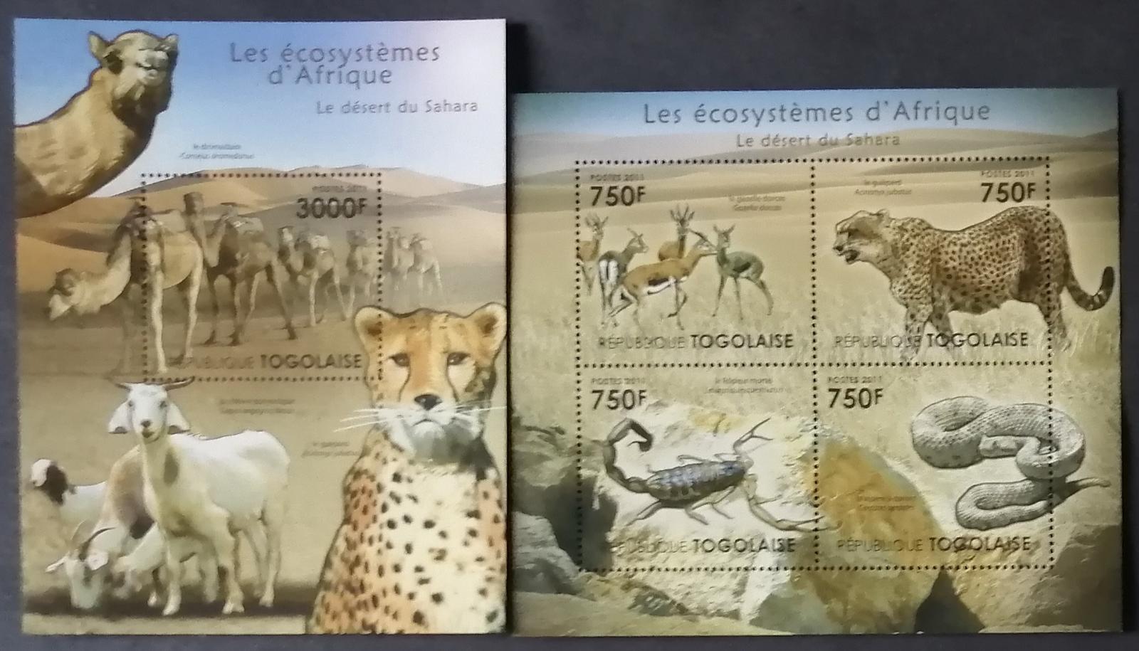 Togo 2011 24€ Africká fauna a flora pouště Sahara, Kočky a velbloudi