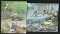 Togo 2011 Mi.4161-4+Bl.642 24€ Fauna mokřadů, ptáci, krabi