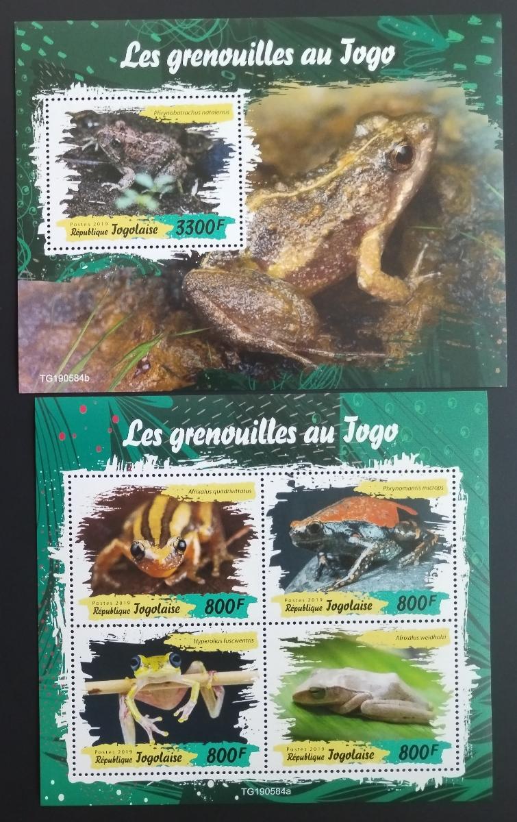 Togo 2019 Fauna země: Africké žáby a obojživelníci