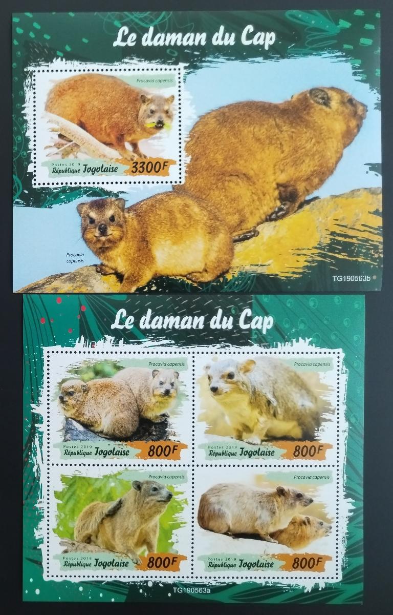 Togo 2019 Fauna země: Damani