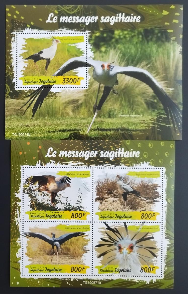 Togo 2019 Fauna země: Hadilov písař a ptáci